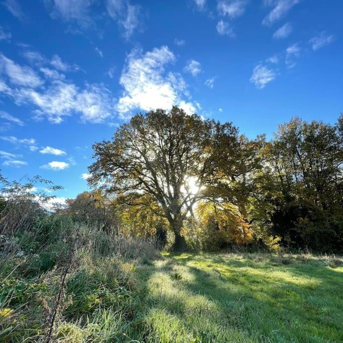 Superbe Maison De Campagne A Deux Pas De Nantes Treillières Kültér fotó